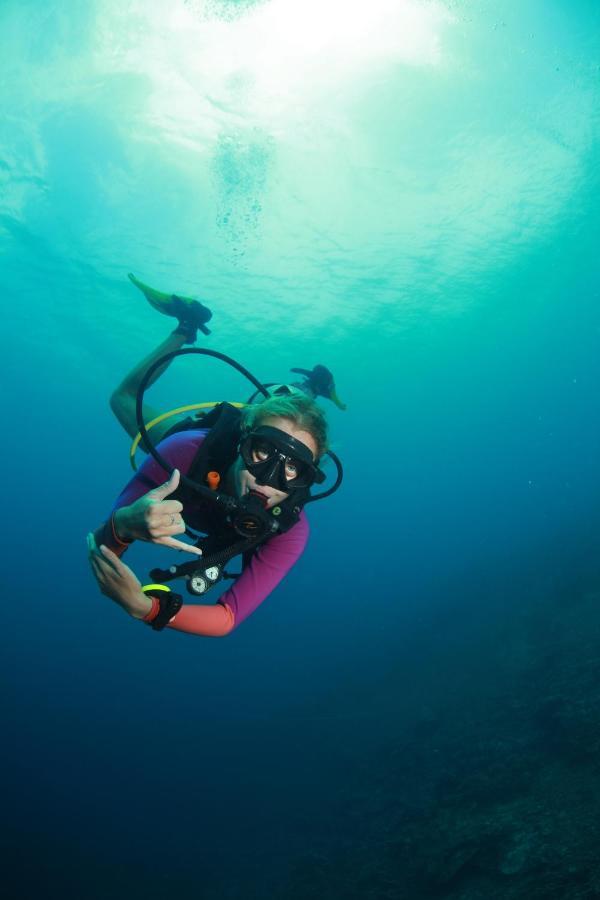 Bongo Bongo Divers Дауин Экстерьер фото